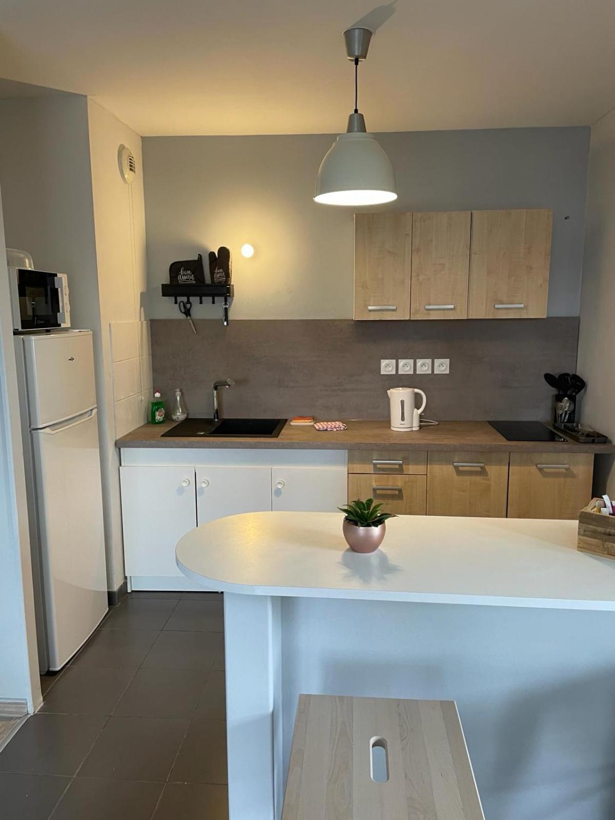 Appartement 2 Chambres Avec Terrasse Et Garage Saint-Andre-lez-Lille Buitenkant foto